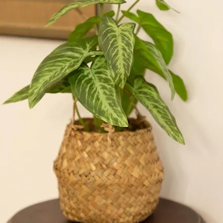 Casa Filou Appartement Thessalonique